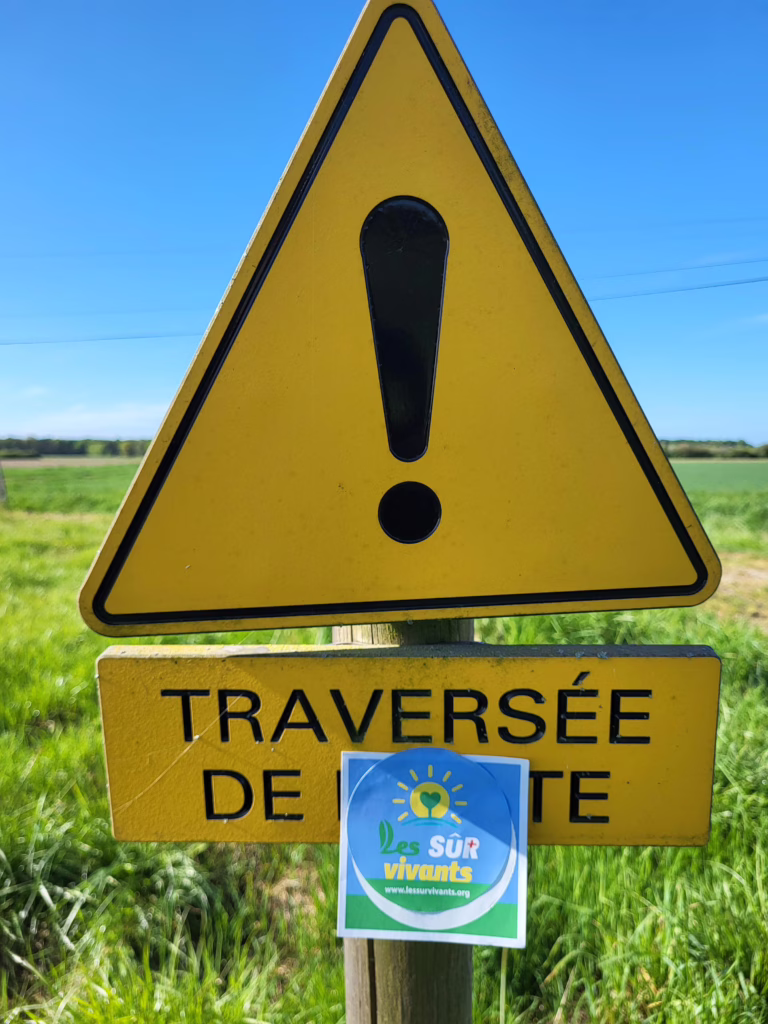 marcher-pour-les-survivants-7