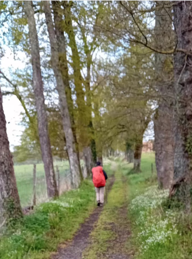 marcher-pour-les-survivants-3