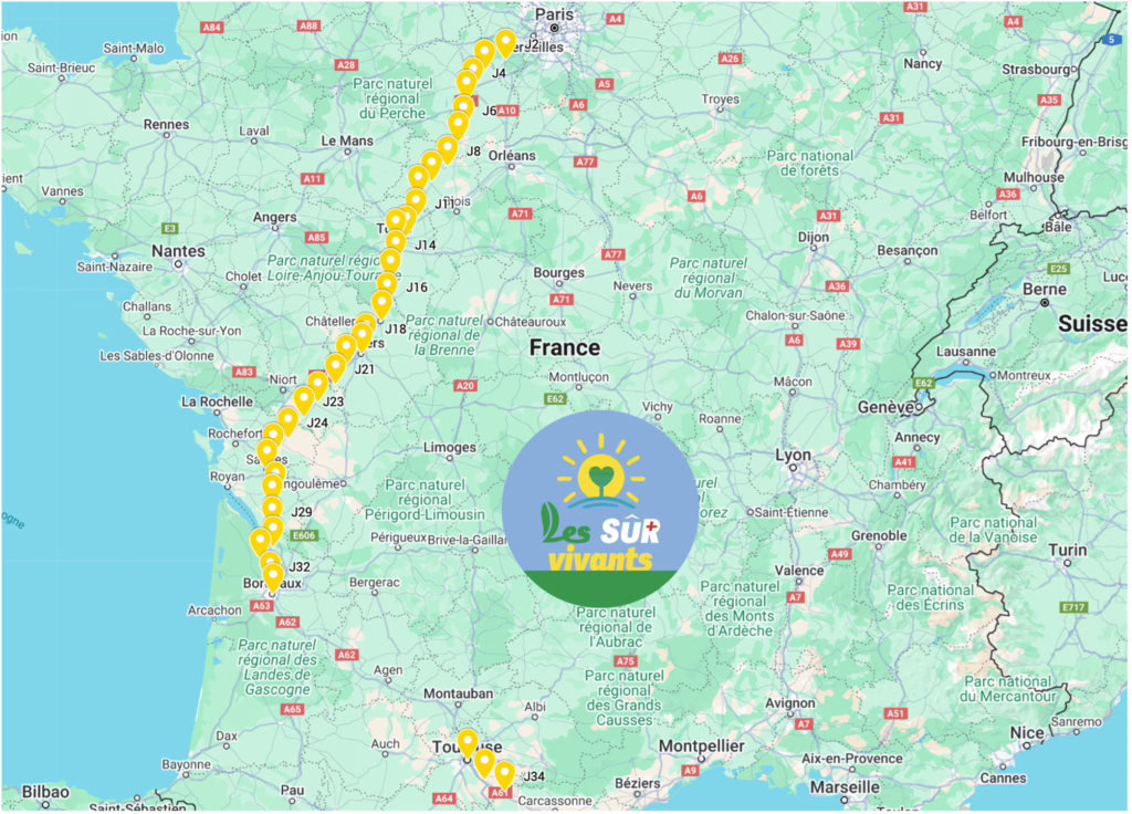 carte-finale-Thibaud-Survivants-compressed